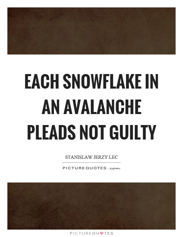 Each snowflake in an avalanche pleads not guilty Picture Quote #1