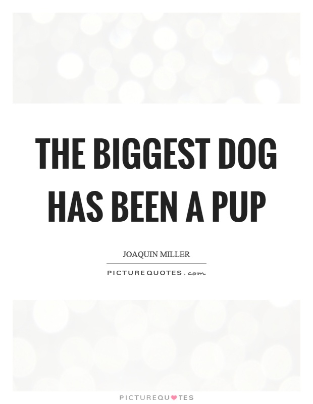 The biggest dog has been a pup Picture Quote #1