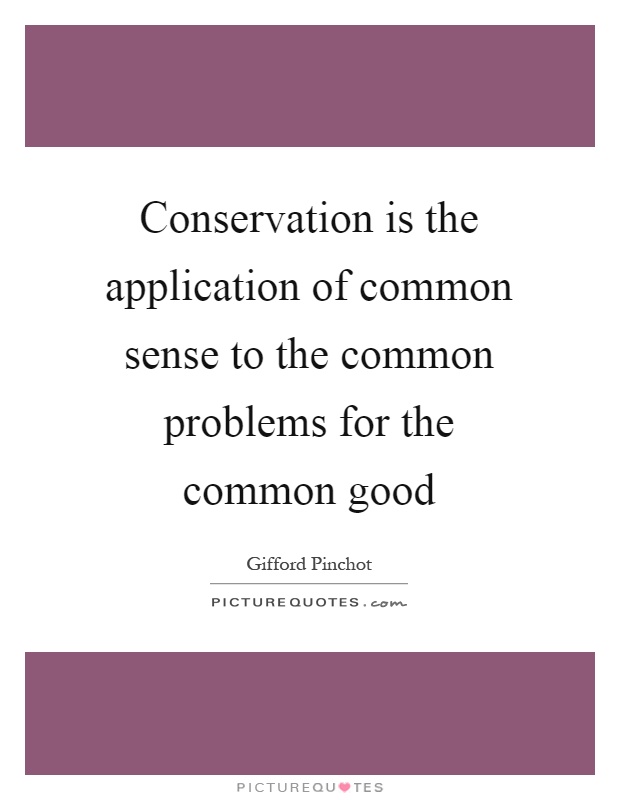 Conservation is the application of common sense to the common problems for the common good Picture Quote #1