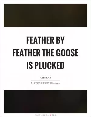 Feather by feather the goose is plucked Picture Quote #1