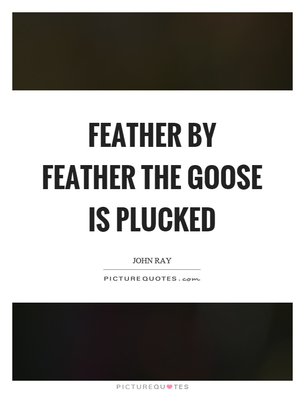 Feather by feather the goose is plucked Picture Quote #1