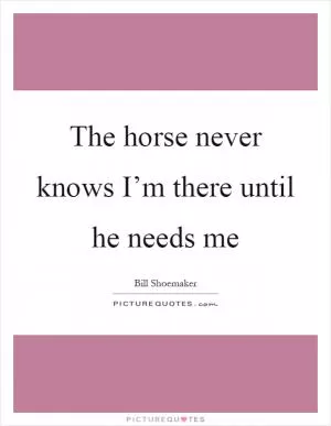 The horse never knows I’m there until he needs me Picture Quote #1