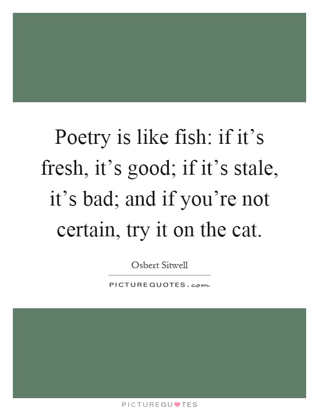 Poetry is like fish: if it's fresh, it's good; if it's stale, it's bad; and if you're not certain, try it on the cat Picture Quote #1