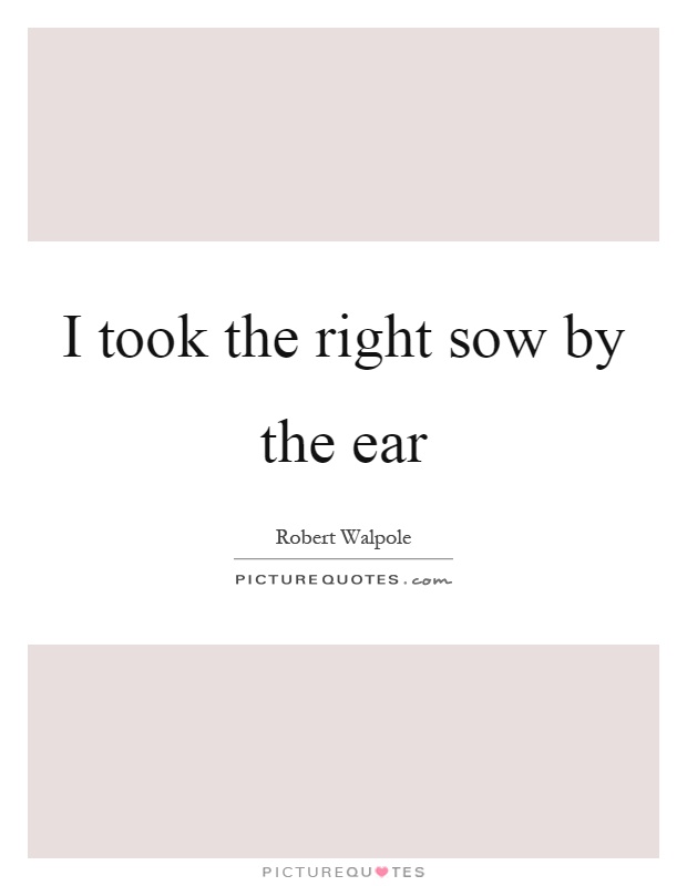 I took the right sow by the ear Picture Quote #1
