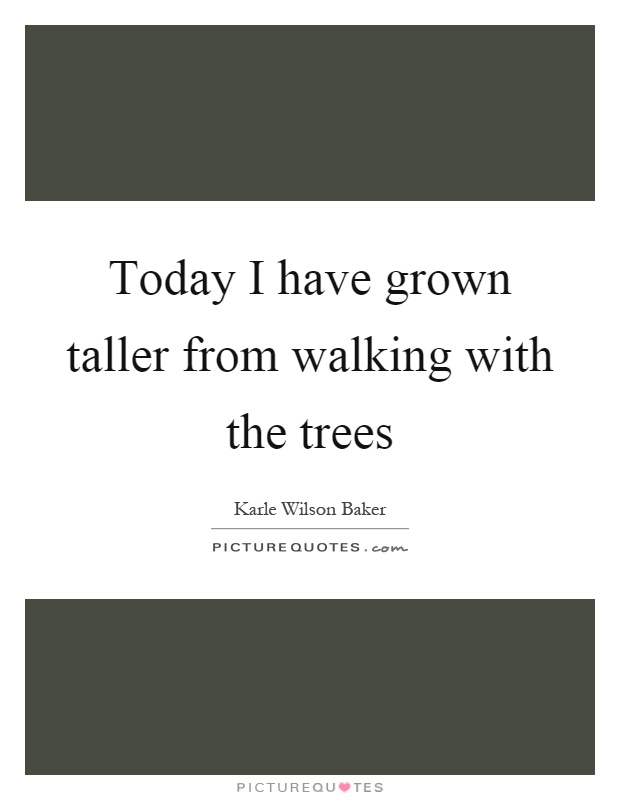 Today I have grown taller from walking with the trees Picture Quote #1