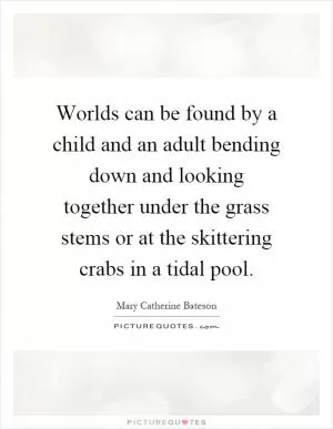 Worlds can be found by a child and an adult bending down and looking together under the grass stems or at the skittering crabs in a tidal pool Picture Quote #1