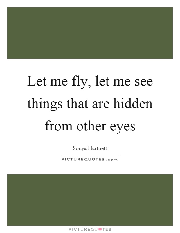 Let me fly, let me see things that are hidden from other eyes Picture Quote #1