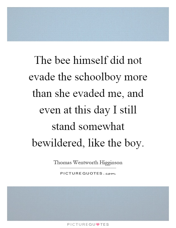 The bee himself did not evade the schoolboy more than she evaded me, and even at this day I still stand somewhat bewildered, like the boy Picture Quote #1