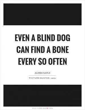 Even a blind dog can find a bone every so often Picture Quote #1
