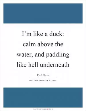 I’m like a duck: calm above the water, and paddling like hell underneath Picture Quote #1
