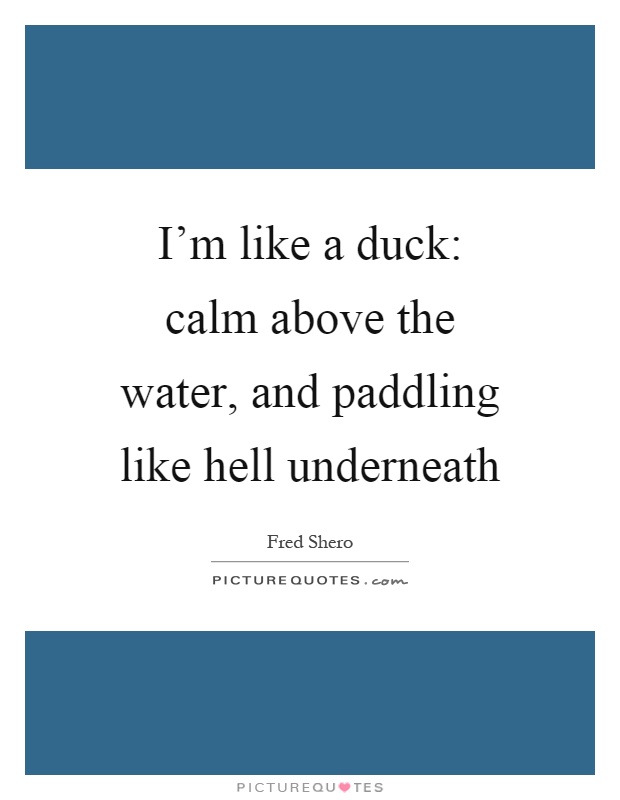 I'm like a duck: calm above the water, and paddling like hell underneath Picture Quote #1