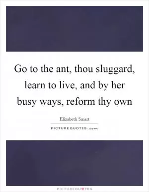 Go to the ant, thou sluggard, learn to live, and by her busy ways, reform thy own Picture Quote #1