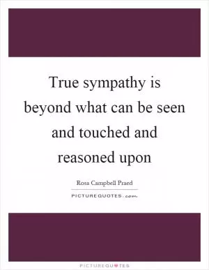 True sympathy is beyond what can be seen and touched and reasoned upon Picture Quote #1