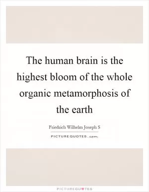 The human brain is the highest bloom of the whole organic metamorphosis of the earth Picture Quote #1