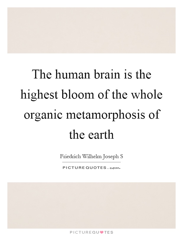 The human brain is the highest bloom of the whole organic metamorphosis of the earth Picture Quote #1