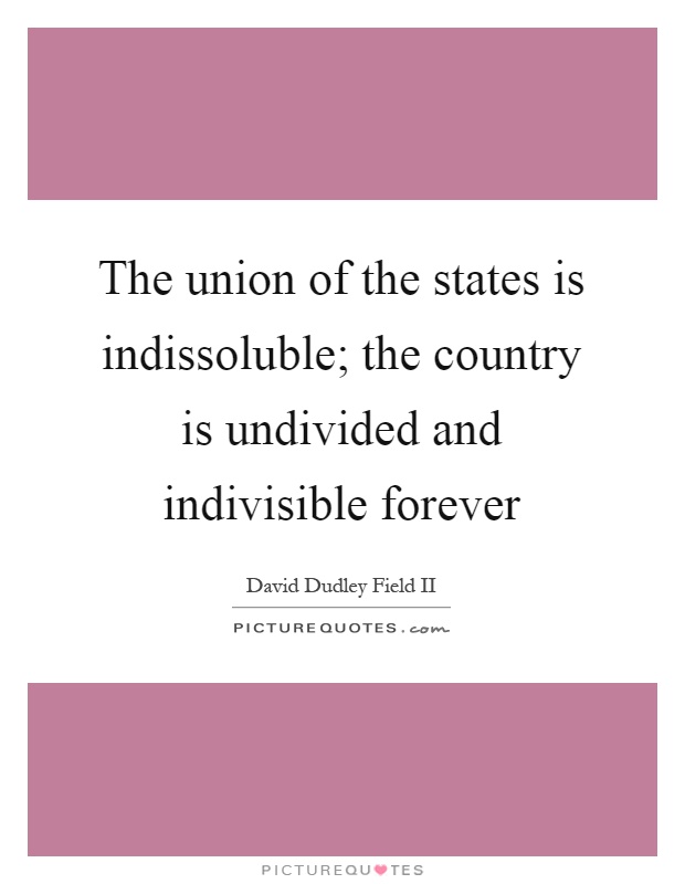 The union of the states is indissoluble; the country is undivided and indivisible forever Picture Quote #1