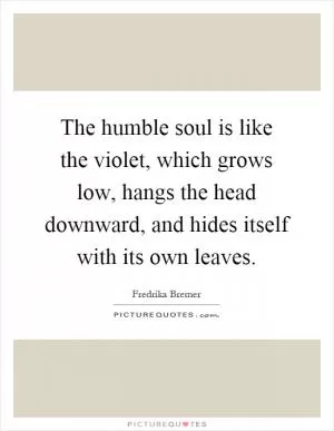 The humble soul is like the violet, which grows low, hangs the head downward, and hides itself with its own leaves Picture Quote #1