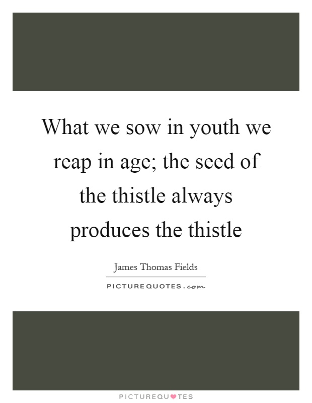 What we sow in youth we reap in age; the seed of the thistle always produces the thistle Picture Quote #1