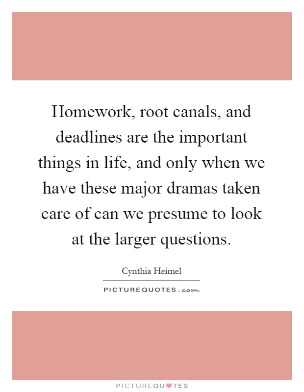 Homework, root canals, and deadlines are the important things in life, and only when we have these major dramas taken care of can we presume to look at the larger questions Picture Quote #1