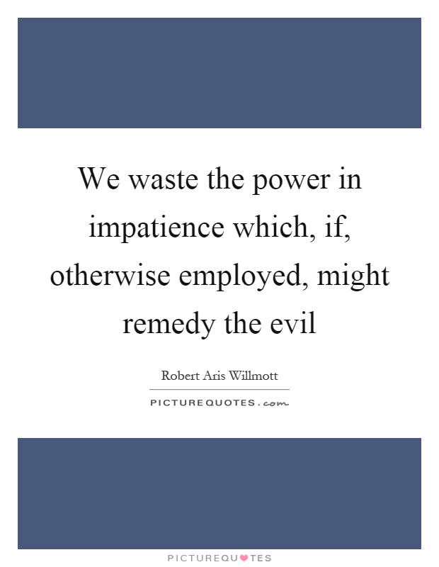 We waste the power in impatience which, if, otherwise employed, might remedy the evil Picture Quote #1