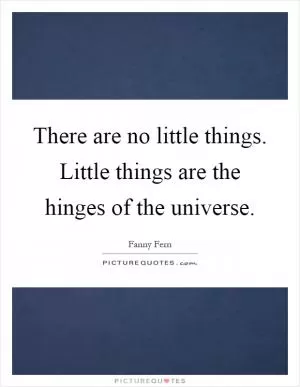 There are no little things. Little things are the hinges of the universe Picture Quote #1