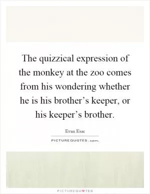 The quizzical expression of the monkey at the zoo comes from his wondering whether he is his brother’s keeper, or his keeper’s brother Picture Quote #1