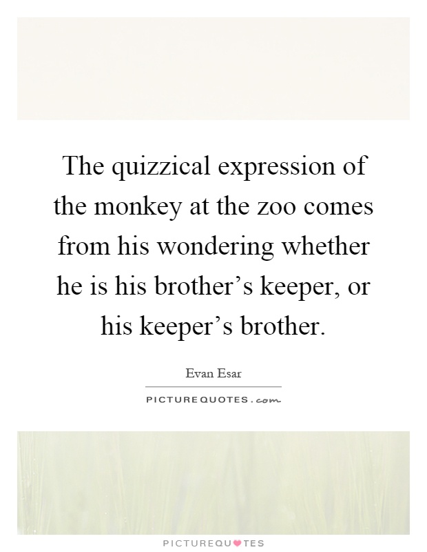 The quizzical expression of the monkey at the zoo comes from his wondering whether he is his brother's keeper, or his keeper's brother Picture Quote #1
