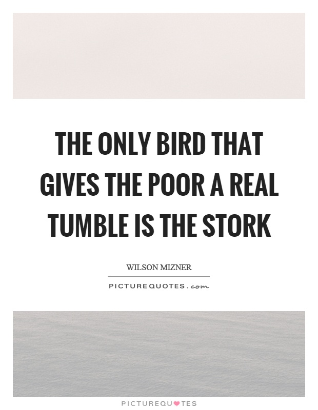 The only bird that gives the poor a real tumble is the stork Picture Quote #1