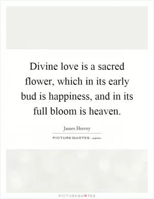 Divine love is a sacred flower, which in its early bud is happiness, and in its full bloom is heaven Picture Quote #1