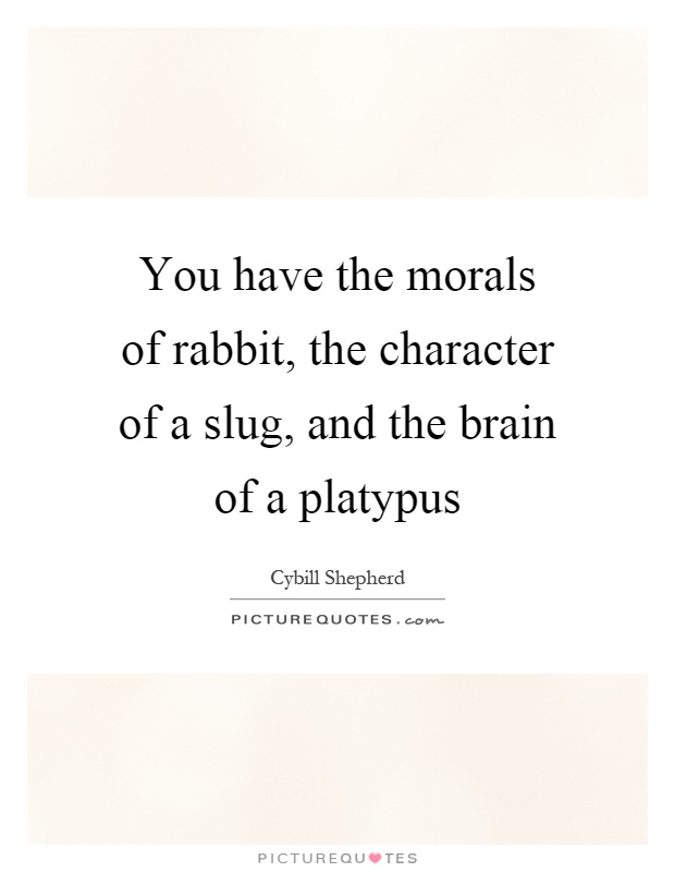 You have the morals of rabbit, the character of a slug, and the brain of a platypus Picture Quote #1