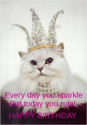 Every day you sparkle but today you rule! Happy Birthday Picture Quote #1