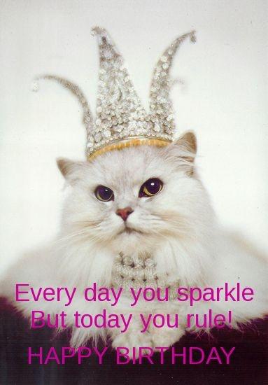 Every day you sparkle but today you rule! Happy Birthday Picture Quote #1