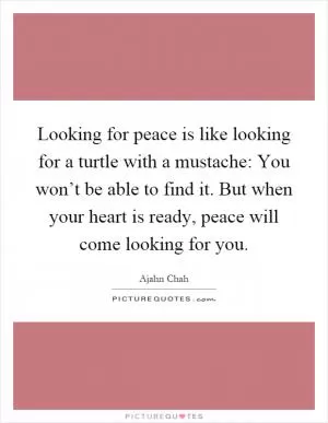 Looking for peace is like looking for a turtle with a mustache: You won’t be able to find it. But when your heart is ready, peace will come looking for you Picture Quote #1