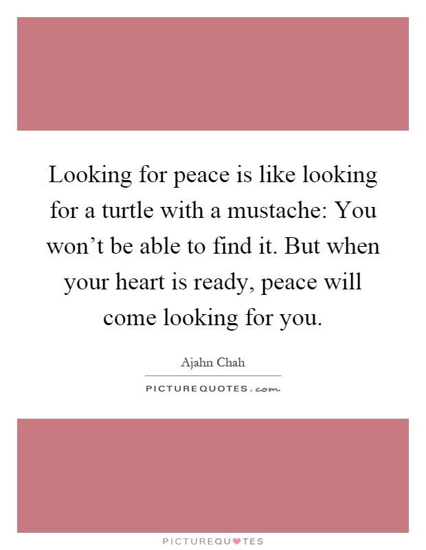 Looking for peace is like looking for a turtle with a mustache: You won't be able to find it. But when your heart is ready, peace will come looking for you Picture Quote #1
