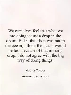 We ourselves feel that what we are doing is just a drop in the ocean. But if that drop was not in the ocean, I think the ocean would be less because of that missing drop. I do not agree with the big way of doing things Picture Quote #1