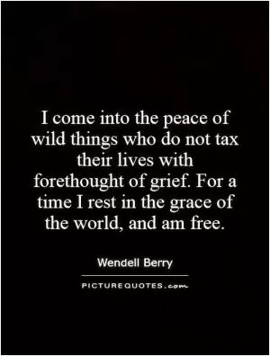 I come into the peace of wild things who do not tax their lives with forethought of grief. For a time I rest in the grace of the world, and am free Picture Quote #1