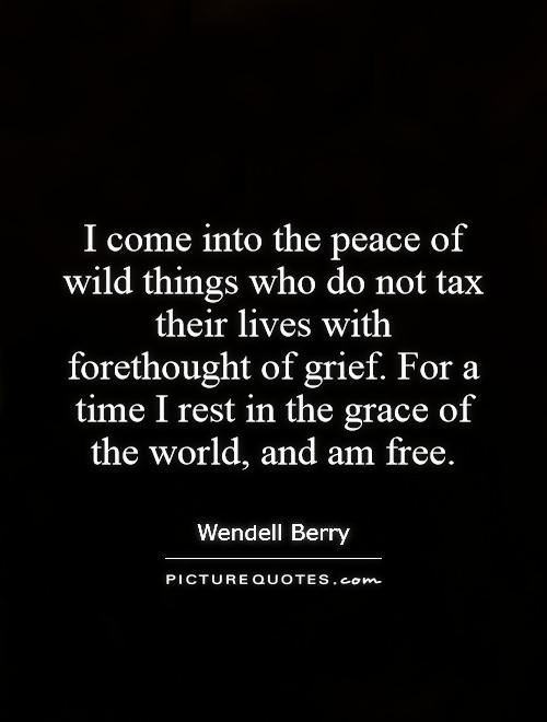 I come into the peace of wild things who do not tax their lives with forethought of grief. For a time I rest in the grace of the world, and am free Picture Quote #1