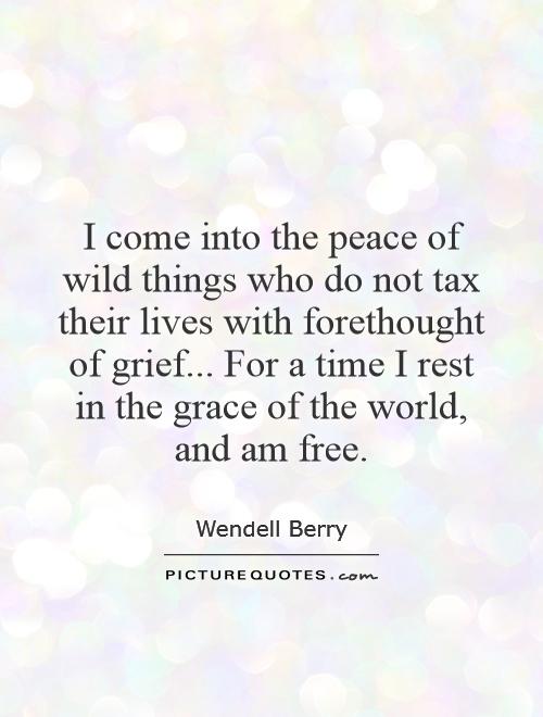 I come into the peace of wild things who do not tax their lives with forethought of grief... For a time I rest in the grace of the world, and am free Picture Quote #1