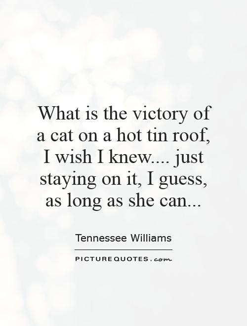 What is the victory of a cat on a hot tin roof,  I wish I knew.... just staying on it, I guess, as long as she can Picture Quote #1