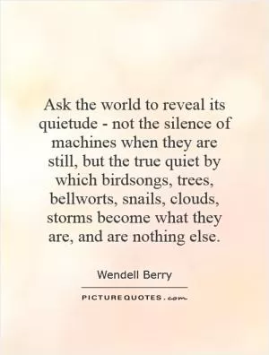 Ask the world to reveal its quietude - not the silence of machines when they are still, but the true quiet by which birdsongs, trees, bellworts, snails, clouds, storms become what they are, and are nothing else Picture Quote #1