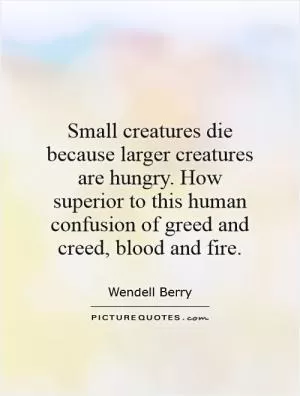 Small creatures die because larger creatures are hungry. How superior to this human confusion of greed and creed, blood and fire Picture Quote #1