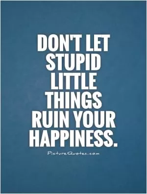 Don't let stupid little things ruin your happiness Picture Quote #1