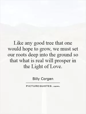Like any good tree that one would hope to grow, we must set our roots deep into the ground so that what is real will prosper in the Light of Love Picture Quote #1