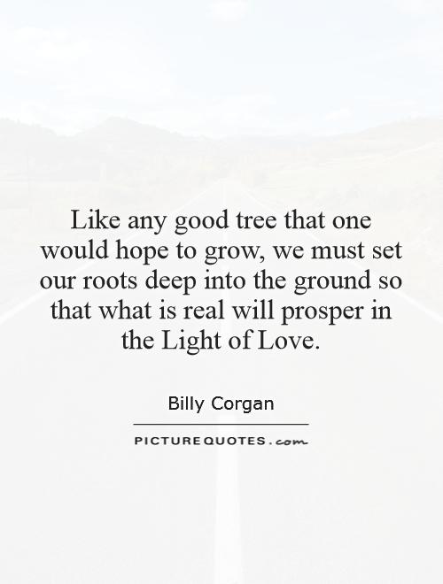 Like any good tree that one would hope to grow, we must set our roots deep into the ground so that what is real will prosper in the Light of Love Picture Quote #1