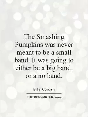 The Smashing Pumpkins was never meant to be a small band. It was going to either be a big band, or a no band Picture Quote #1