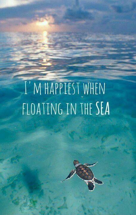 I am happiest when floating in the sea Picture Quote #1