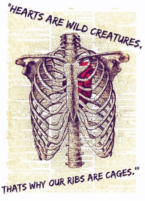Hearts are wild creatures, that's why our ribs are cages Picture Quote #1