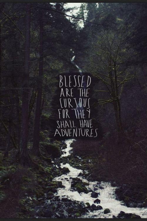 Blessed are the curious, for they shall have adventures Picture Quote #1