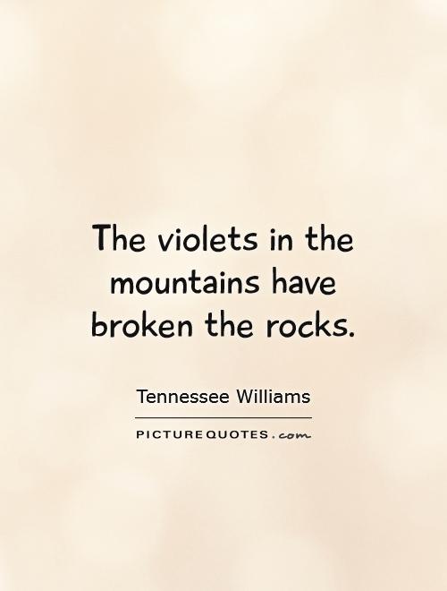 The violets in the mountains have broken the rocks Picture Quote #1