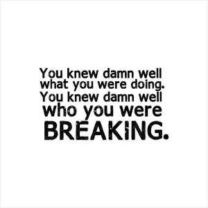 You knew damn well what you were doing. You knew damn well who you were breaking Picture Quote #1